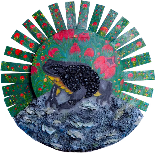 Jambato Negro del Cajas